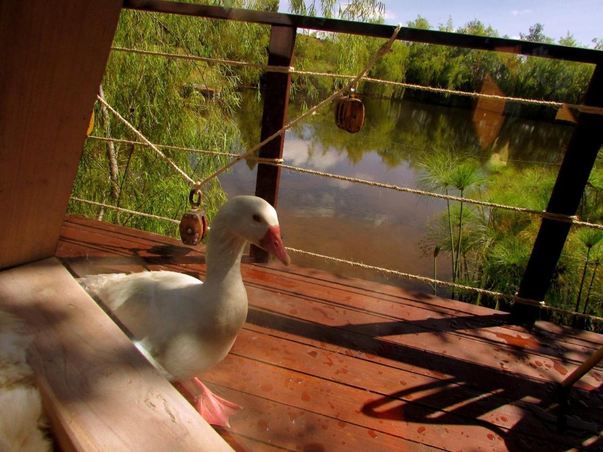 Glamping Cantabria Tunja Exterior foto